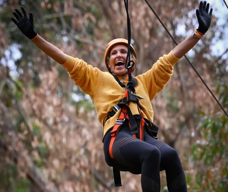 TreeClimb Kuitpo Forest: Exciting Treetop Climbing Adventure - An Overview of the Experience