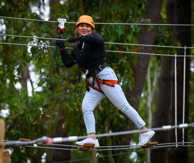 TreeClimb Kuitpo Forest: Exciting Treetop Climbing Adventure - Who Will Love This Experience?