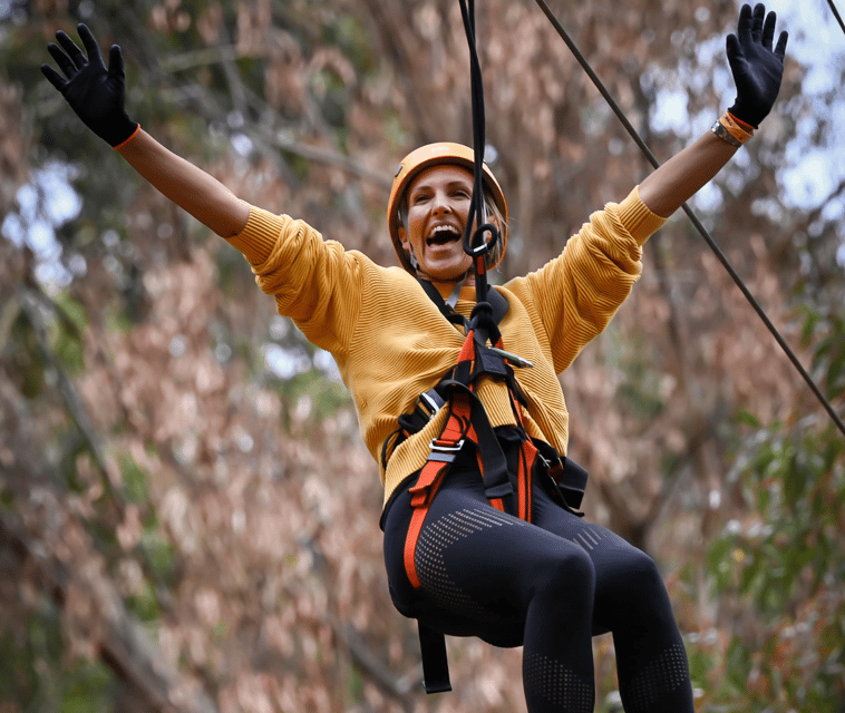 TreeClimb Kuitpo Forest: Exciting Treetop Climbing Adventure - An In-Depth Look at the TreeClimb Kuitpo Forest Experience