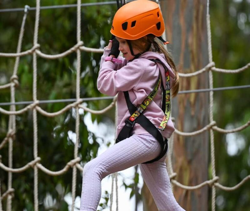 TreeClimb Kuitpo Forest: Treetop Fun For Little Adventurers - Authentic Feedback from Visitors