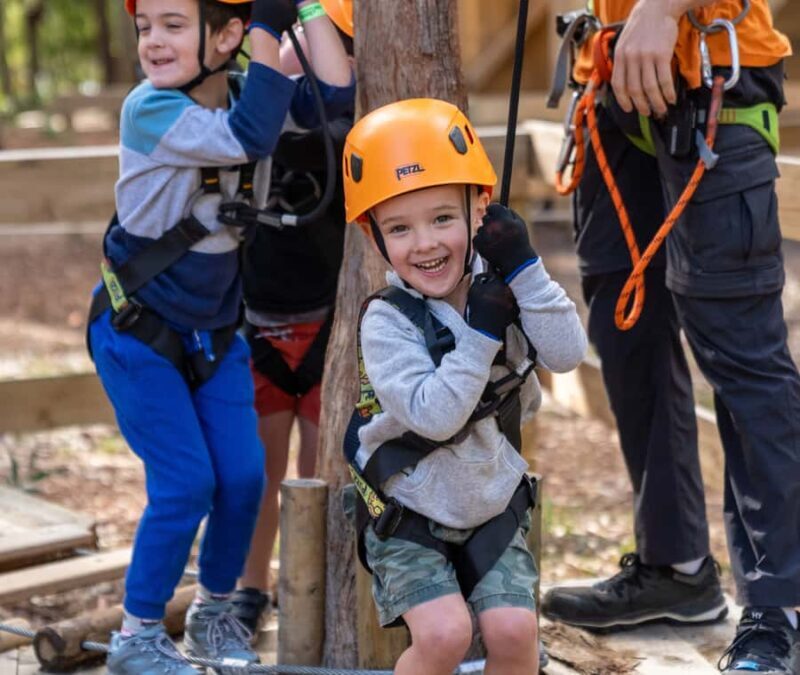 TreeClimb Kuitpo Forest: Treetop Fun For Little Adventurers - Why Choose TreeClimb Kuitpo Forest?