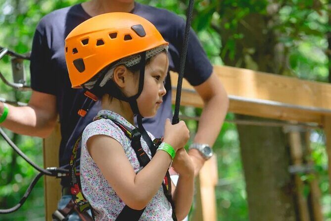 Treetop adventure course in Jablines - Who Will Love This Experience?