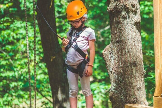 Treetop adventure course in Jablines - Key Points