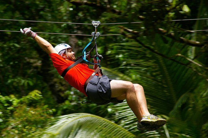 Treetop Canopy Adventure - Exploring the Itinerary in Detail