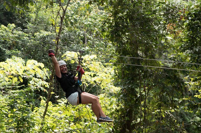 Treetop Canopy Adventure - Who Will Love This Tour?