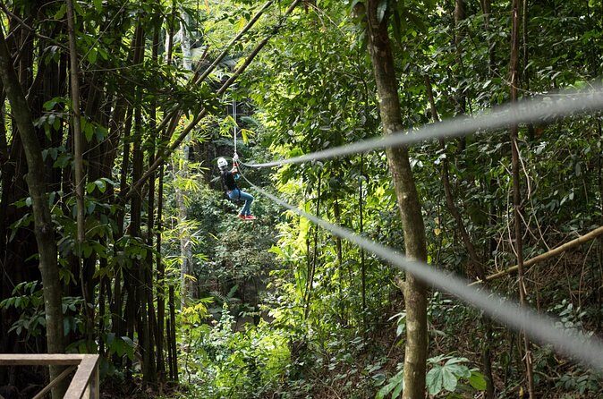 Treetop Canopy Adventure - Final Thoughts