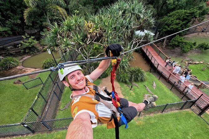 TreeTop Challenge Currumbin Wildlife Park - Exploring the Details of the TreeTop Challenge Experience