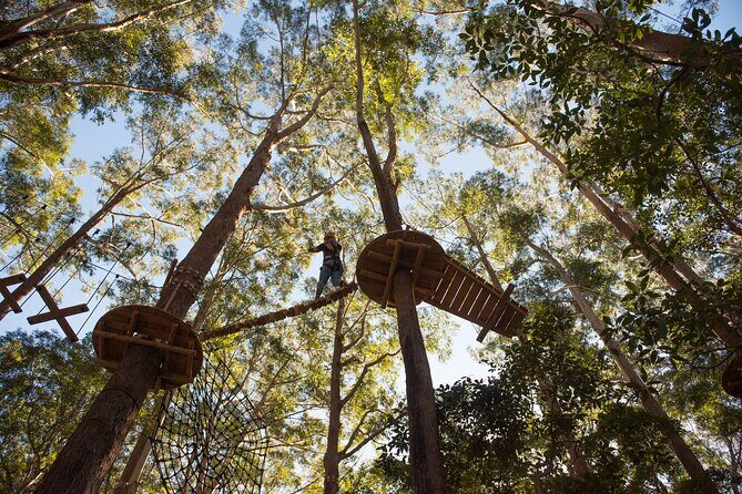 Treetops Adventure Coffs Harbour Tree Ropes Course - FAQ