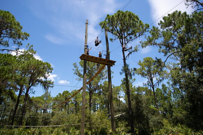 TreeUmph Adventure Course - Pricing and Offers
