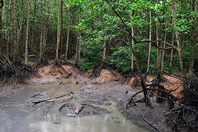 Trek Can Gio Mangrove, Monkey Island With Croc Farm & Cano Option - Cancellation Policy