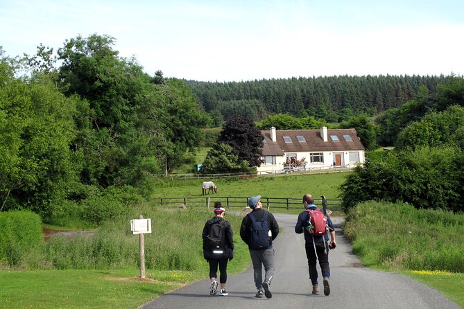 Trek the Tombs and Trails in the Dublin Mountains - Historical Significance of Megalithic Tombs