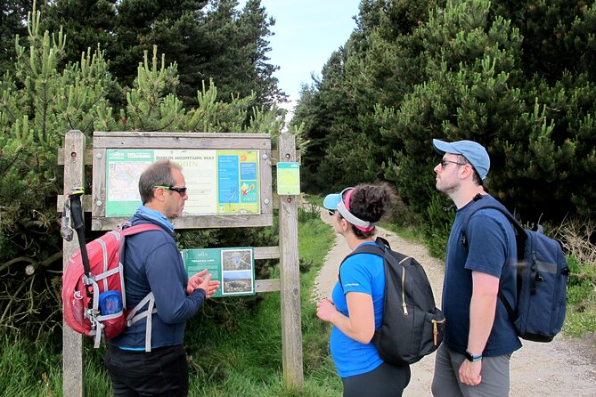 Trek the Tombs and Trails in the Dublin Mountains - Myths, Stories, and Legends