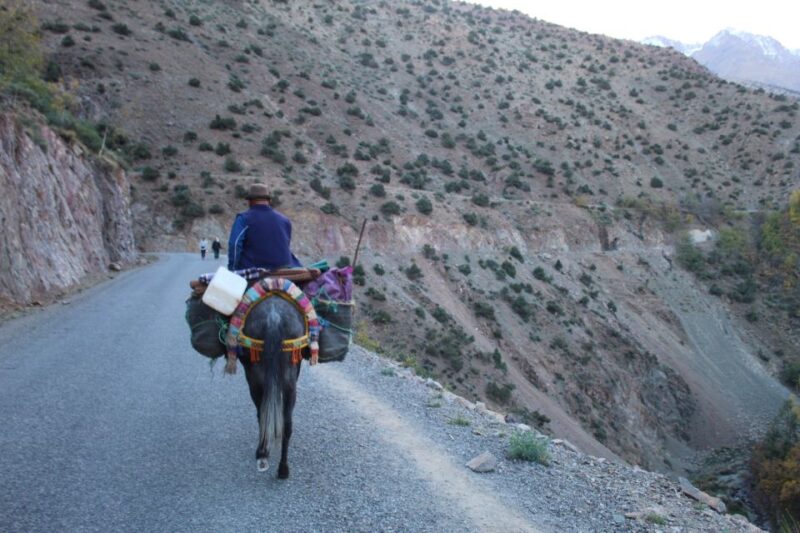 Trekking and Hiking in Morocco 2 Day Trek in Atlas Mountains - Preparation Recommendations