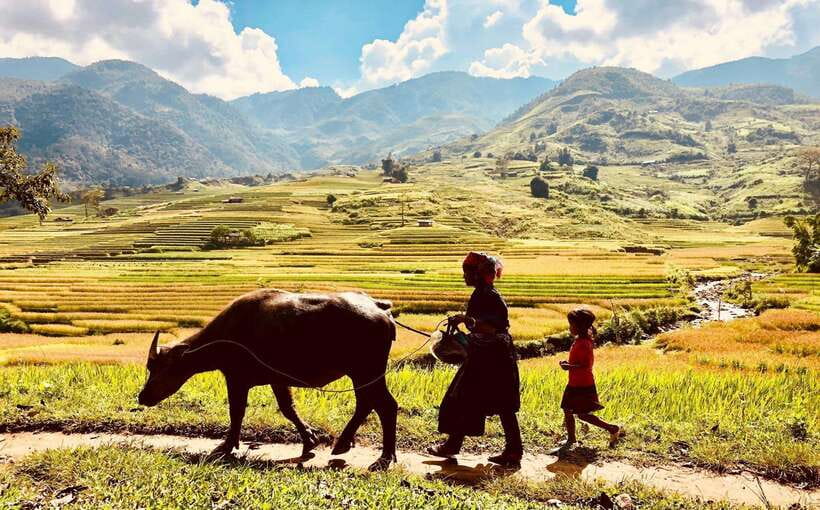 Trekking and Motorbike Full Day in Mu Cang Chai - Key Points