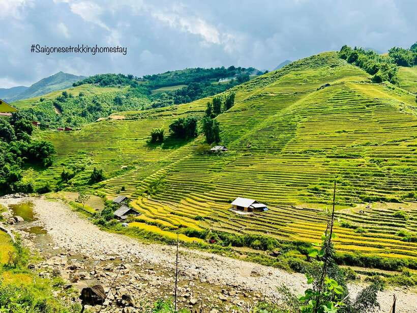 Trekking and Motorbike Full Day in Mu Cang Chai - Highlights of the Journey