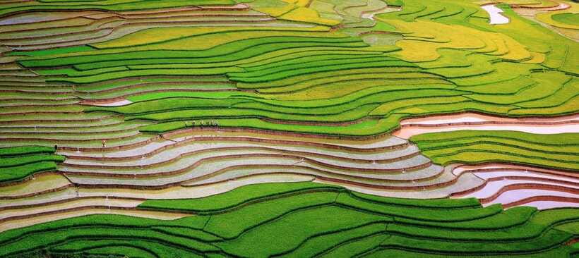 Trekking and Motorbike Full Day in Mu Cang Chai - Exploring the Terraced Rice Fields
