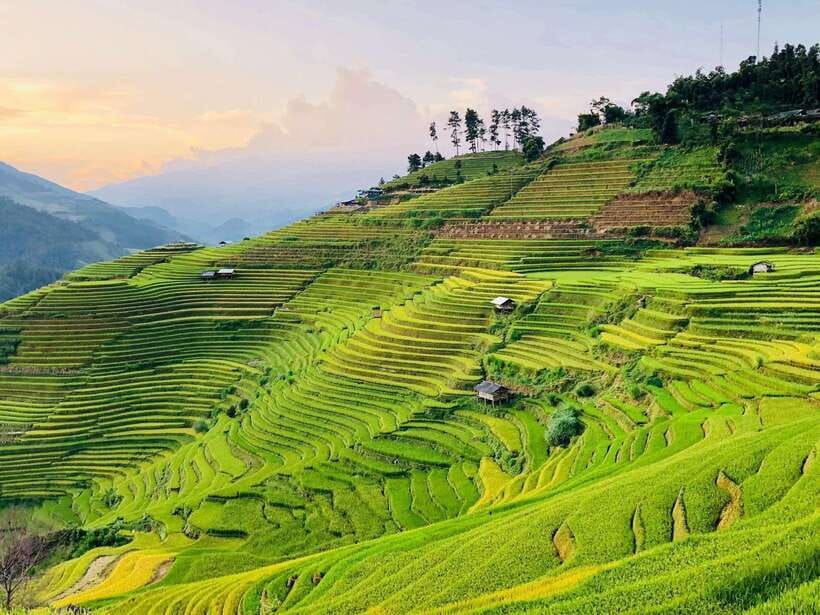 Trekking and Motorbike Full Day in Mu Cang Chai - Customer Experiences and Feedback