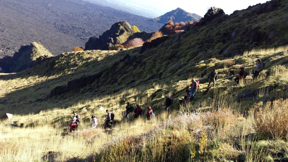 Trekking Bove Valley - Etna - Highlights