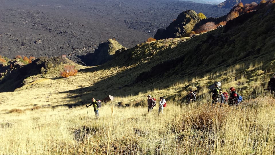 Trekking Bove Valley - Etna - Discovering Etnas Biodiversity