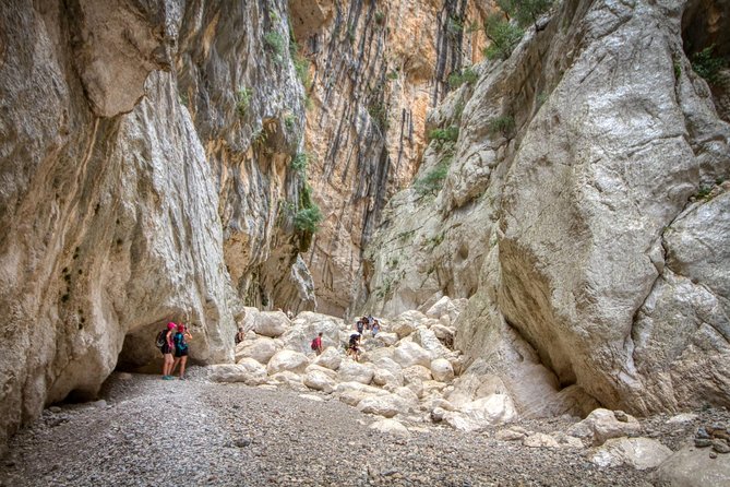 Trekking Excursion to Gorropu Canyon - Flora and Fauna Highlights
