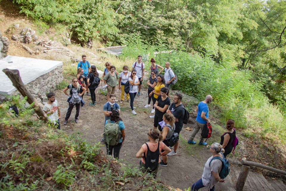 Trekking Experience in Ischia With Local Guide - Requirements for Participants