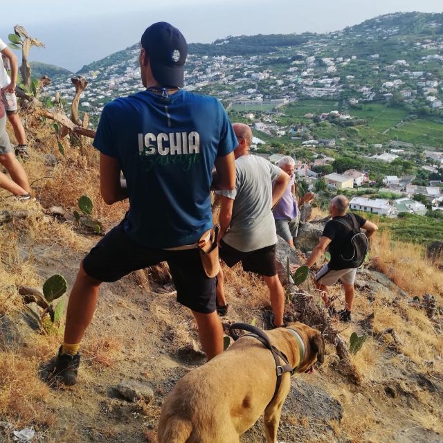 Trekking Experience in Ischia With Local Guide - Exploring the Natural Landscape
