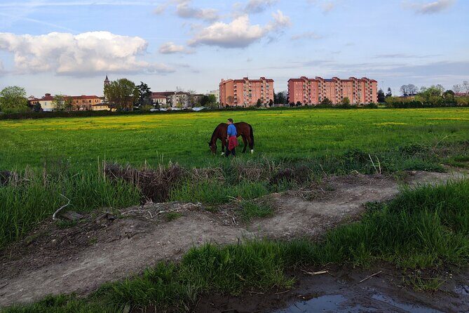 Trekking in the Wood with picnic on the turtles lake - Key Points