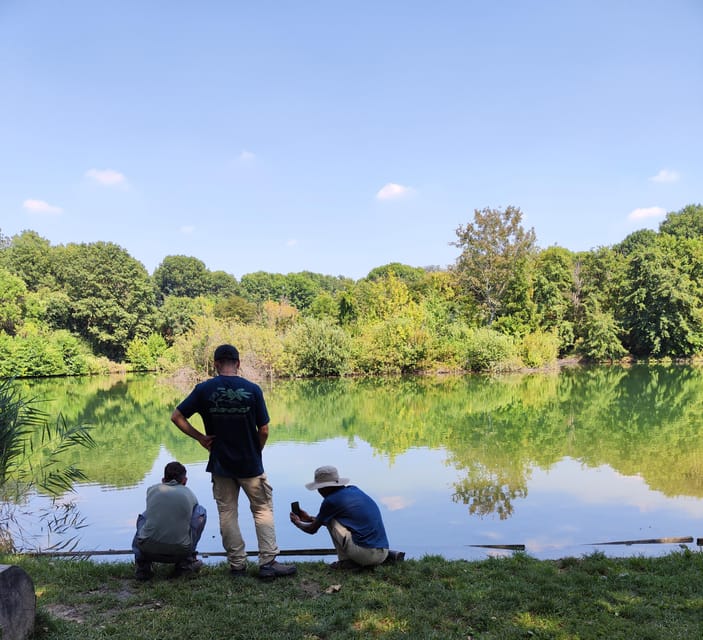 Trekking in the Wood With Picnic on the Turtles Lake - Customer Reviews