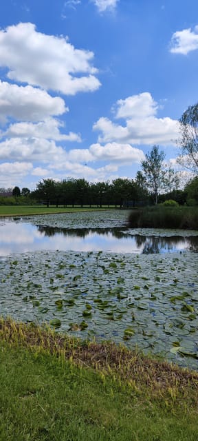 Trekking in the Wood With Picnic on the Turtles Lake - Getting There
