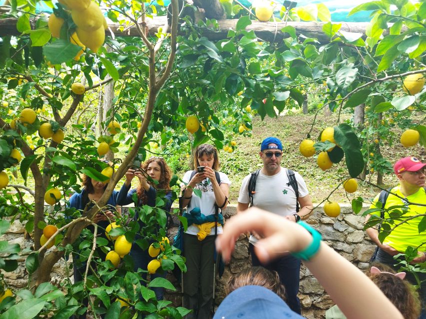 Trekking Lemon Tour - Itinerary Highlights