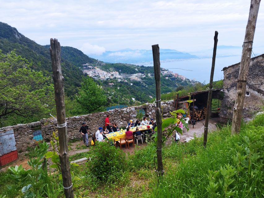 Trekking Lemon Tour - Starting Locations