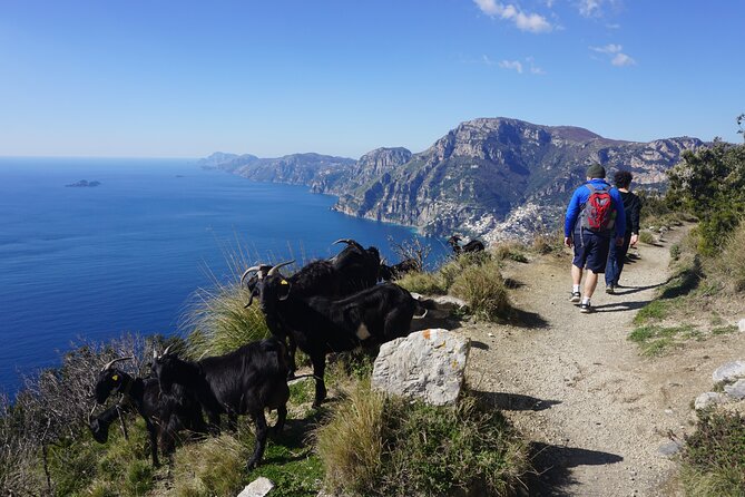 Trekking of the Amalfi Coast - 4 Days / 3 Nights - Included Experiences