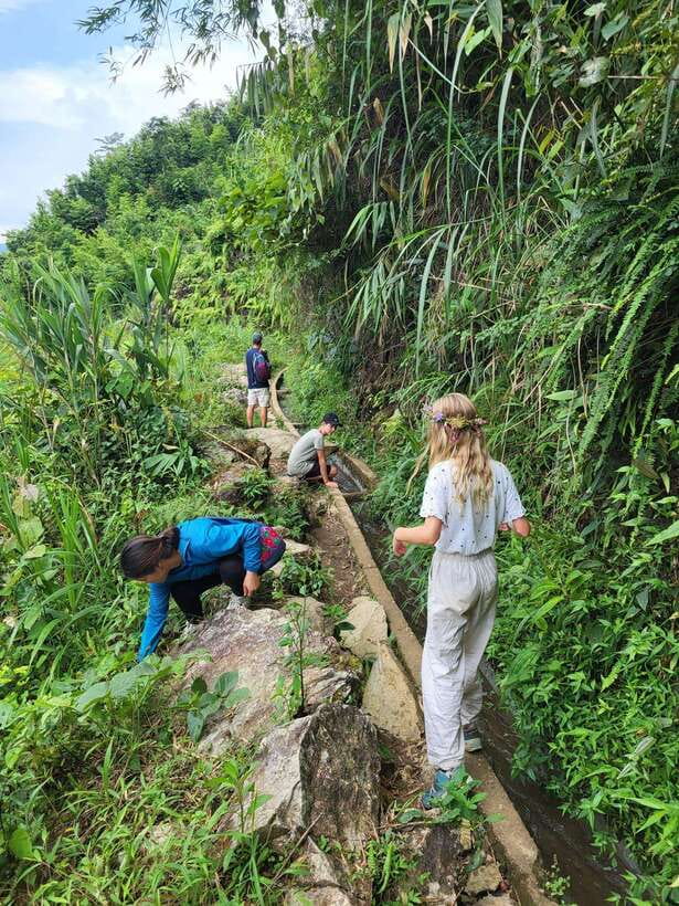 Trekking Sapa 1 Day With Local Guide, Terraced Rice Fields - Tour Overview and Pricing