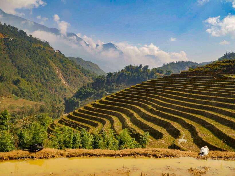 Trekking Sapa 1 Day With Local Guide, Terraced Rice Fields - Cultural Experience