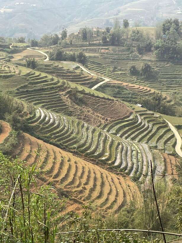 Trekking Sapa 1 Day With Local Guide, Terraced Rice Fields - Frequently Asked Questions