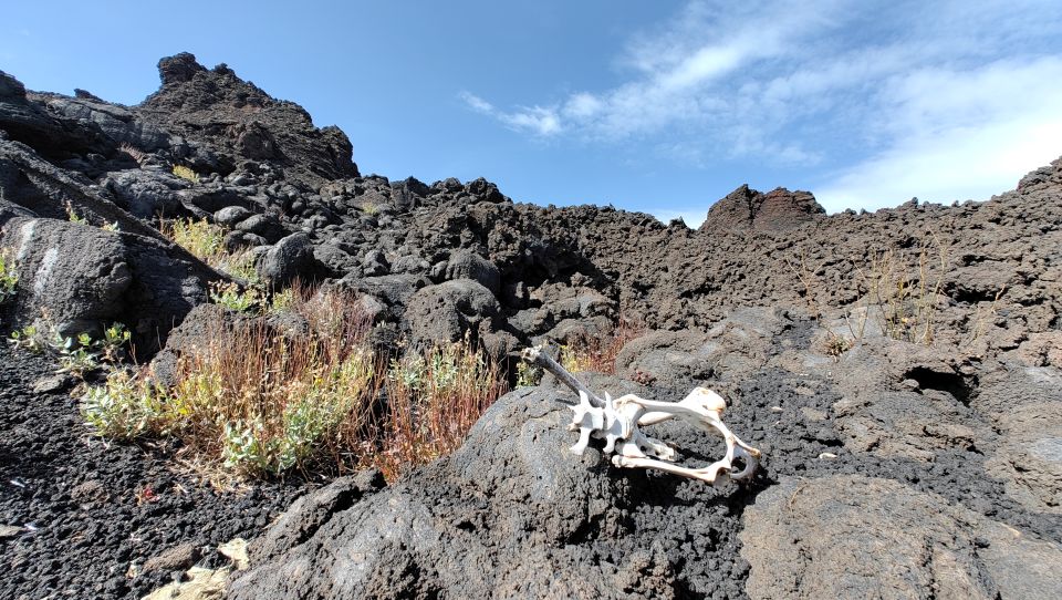 Trekking to Bottoniera Craters - Geological History of the Bottoniera Craters