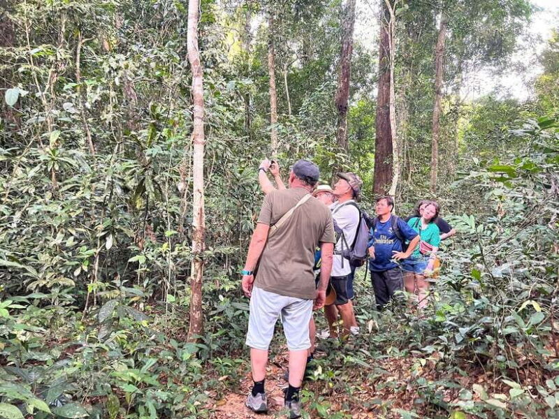 Trekking Tour at Phnom Kulen National Park from Siem Reap - Final Thoughts: Who Should Consider This Tour?