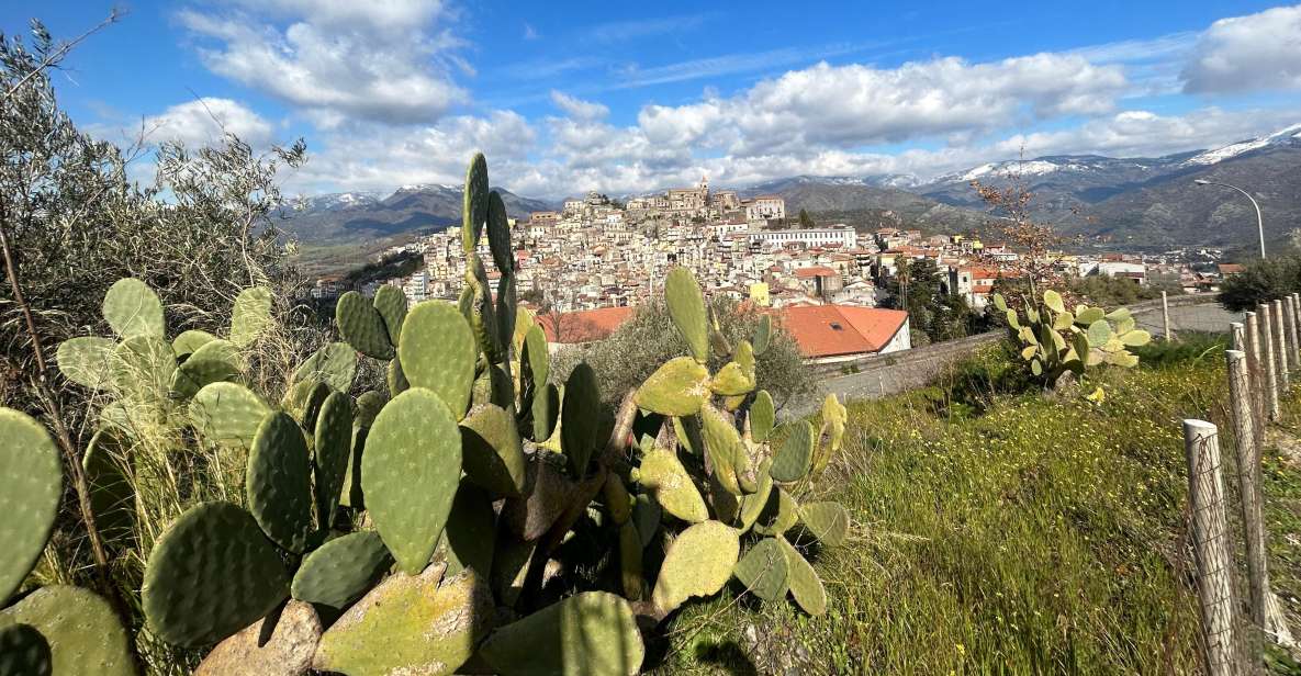 Trekking,room,tastings,dinner - Cuisine