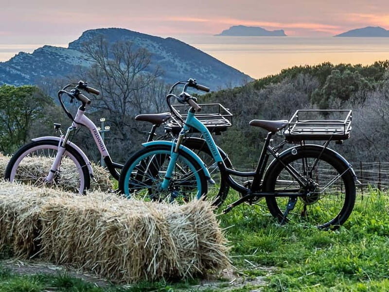 Trentinara: E-Bike Tour with Picnic in the Vineyard - Who Will Love This Tour?