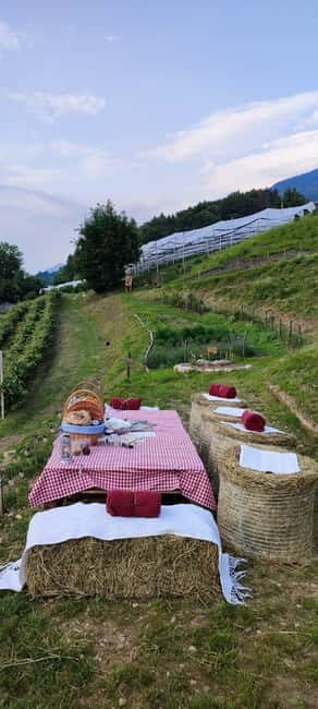 Trentino Agriconda: Magical Picnic at Sunset basket in Comano - Who This Tour Is Best For