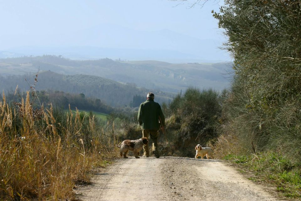 Trequanda: Tuscan Truffle Hunting Experience With Lunch - Exploring Valdichiana Senese Woodlands