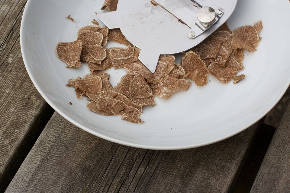 Trequanda: Tuscan Truffle Hunting Experience With Lunch - Discovering Tuscan Truffles With Experts