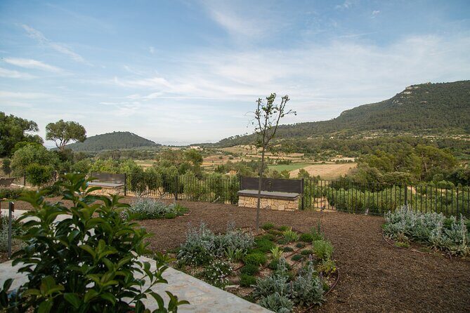 Treurer Mediterranean Barbecue Night - Who’s This Tour For?  