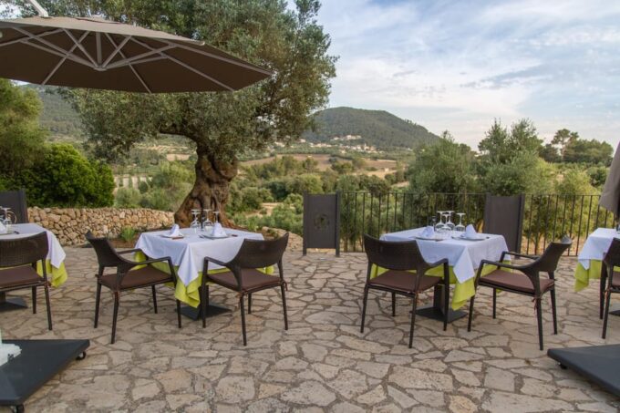 Treurer: Mediterranean Barbecue Night - Discovering EVOO Production Secrets
