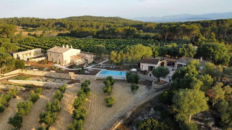 Treurer: Olive Oil Night. Gastronomic experience - Key Points