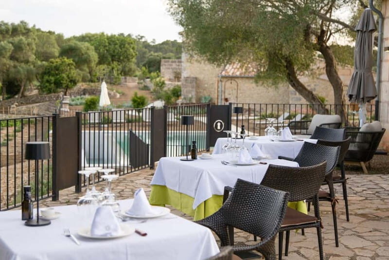 Treurer: Olive Oil Night. Gastronomic experience - The Experience in Detail