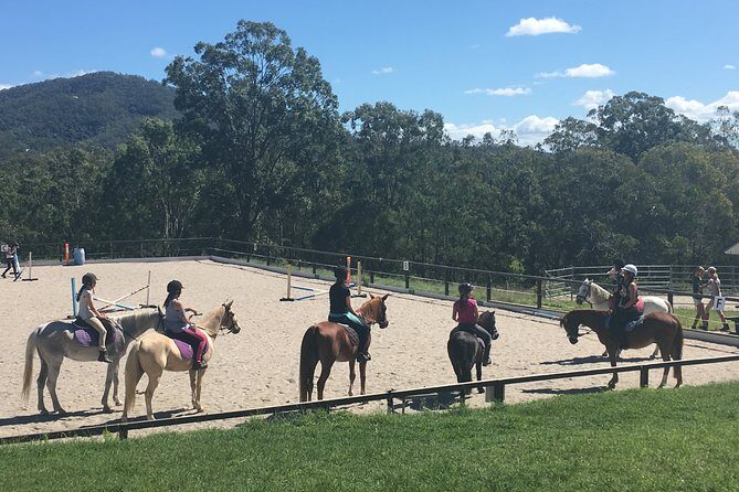 Trevena Glen 1hr Animal Tour - Practical Tips for Visitors