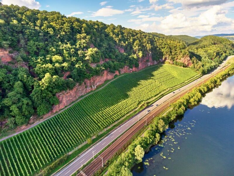 Trier: Discovery tour - Germany's oldest wine cellar - Key Points