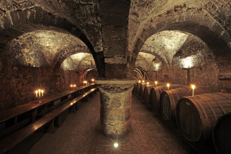 Trier: Discovery tour - Germany's oldest wine cellar - Exploring the Oldest Wine Cellar in Germany