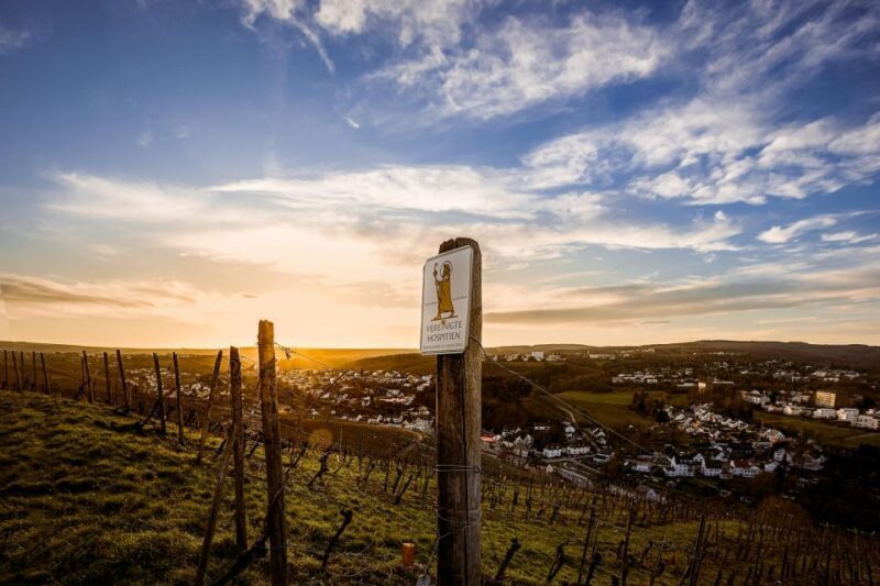 Trier: Discovery tour - Germany's oldest wine cellar - Value and Price Point